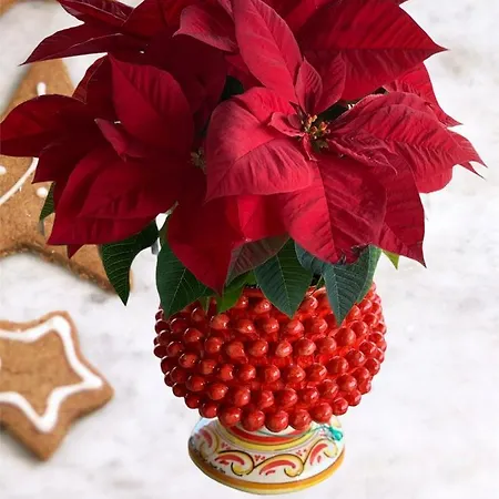 Bed & Breakfast Alludo