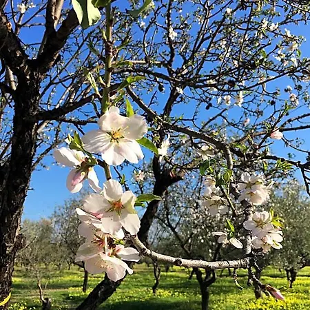 Alludo Agrigento
